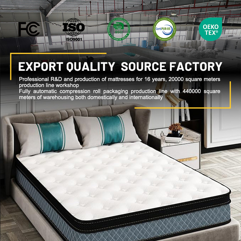Hot Selling Euro Luxury King Q - Memory Foam Mattress In A Box Queen review and price